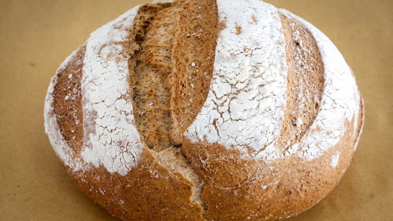 Masa madre